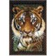 Wild Animal Latch Hook Kits
